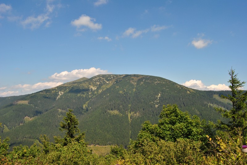 pepajs.cz